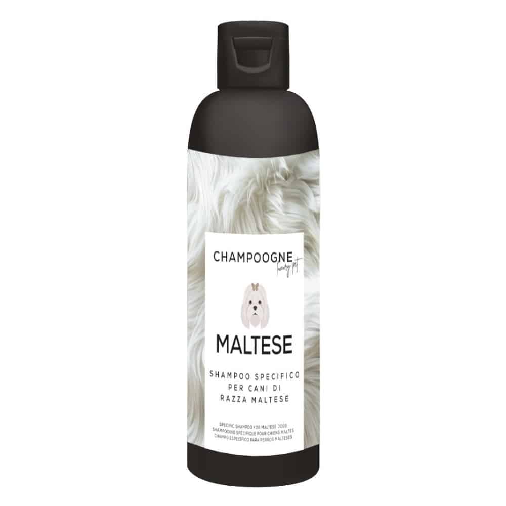	CHAMPOOGNE SHAMPOO MALTESE